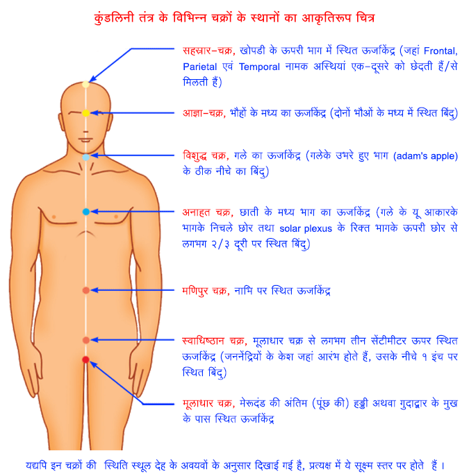 कुण्डलिनी चक्र